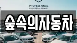 숲속의자동차