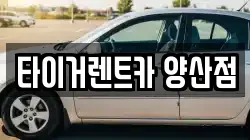 타이거렌트카 양산점