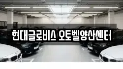 현대글로비스 오토벨양산센터