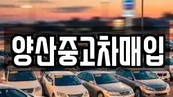 양산중고차매입