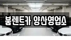 경남 양산시 원동면 렌트카,단기렌트카,장기렌트카,중고차,중고차매매,중고차매입