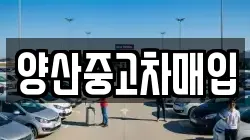 양산중고차매입