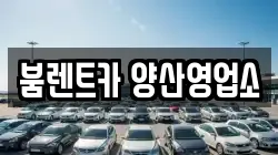 경남 양산시 중부동 렌트카,단기렌트카,장기렌트카,중고차,중고차매매,중고차매입