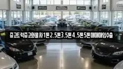 경남 의령군 낙서면 렌트카,단기렌트카,장기렌트카,중고차,중고차매매,중고차매입