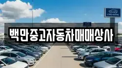 경남 진주시 대평면 렌트카,단기렌트카,장기렌트카,중고차,중고차매매,중고차매입