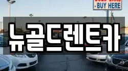 뉴골드렌트카