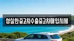 성실한중고차수출중고차매입시세