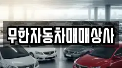 무한자동차매매상사
