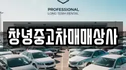 창녕중고차매매상사
