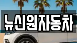 뉴신원자동차