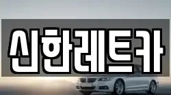 신한레트카