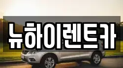 뉴하이렌트카