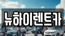 뉴하이렌트카