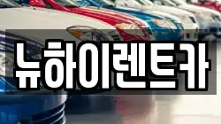 뉴하이렌트카