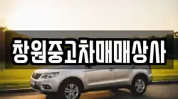창원중고차매매상사