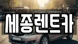 경남 창원시 진해구 남양동 렌트카,단기렌트카,장기렌트카,중고차,중고차매매,중고차매입