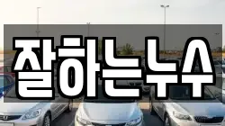 잘하는누수