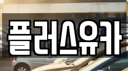 플러스유카