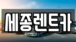세종렌트카