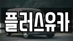 플러스유카