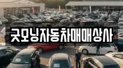 굿모닝자동차매매상사