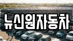 뉴신원자동차