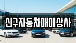 신구자동차매매상사