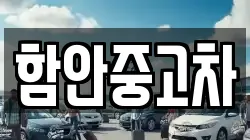 함안중고차