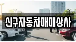 신구자동차매매상사
