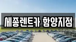 경남 함양군 병곡면 렌트카,단기렌트카,장기렌트카,중고차,중고차매매,중고차매입