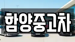 함양중고차