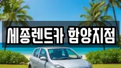 경남 함양군 함양읍 렌트카,단기렌트카,장기렌트카,중고차,중고차매매,중고차매입