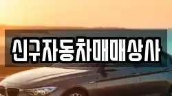 신구자동차매매상사
