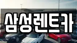 경남 합천군 율곡면 렌트카,단기렌트카,장기렌트카,중고차,중고차매매,중고차매입