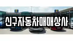 신구자동차매매상사