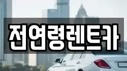 전연령렌트카