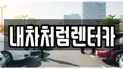 내차처럼렌터카