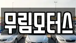 무림모터스