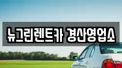뉴그린렌트카 경산영업소