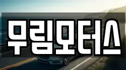무림모터스