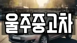 울주중고차