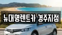 뉴대명렌트카 경주지점