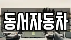경북 경주시 북군동 렌트카,단기렌트카,장기렌트카,중고차,중고차매매,중고차매입
