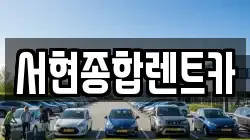 경북 경주시 서악동 렌트카,단기렌트카,장기렌트카,중고차,중고차매매,중고차매입