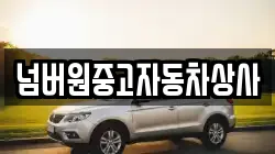 넘버원중고자동차상사