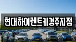 경북 경주시 효현동 렌트카,단기렌트카,장기렌트카,중고차,중고차매매,중고차매입