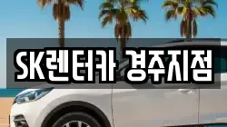 경북 경주시 렌트카,단기렌트카,장기렌트카,중고차,중고차매매,중고차매입