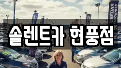 경북 고령군 개진면 렌트카,단기렌트카,장기렌트카,중고차,중고차매매,중고차매입
