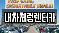 내차처럼렌터카