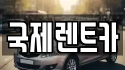국제렌트카